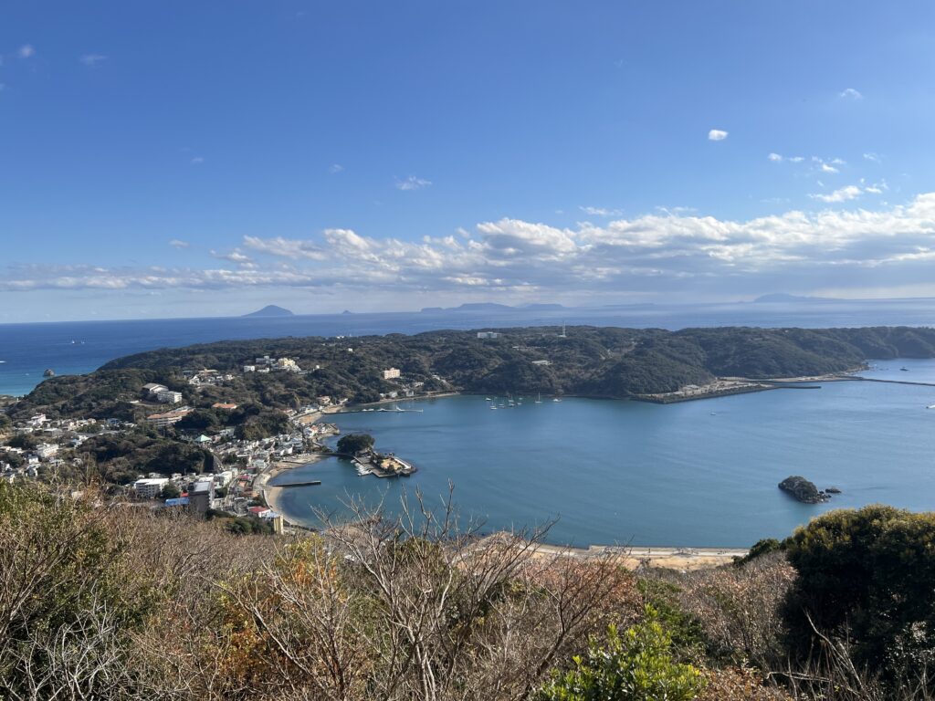 寝姿山から下田港を望む