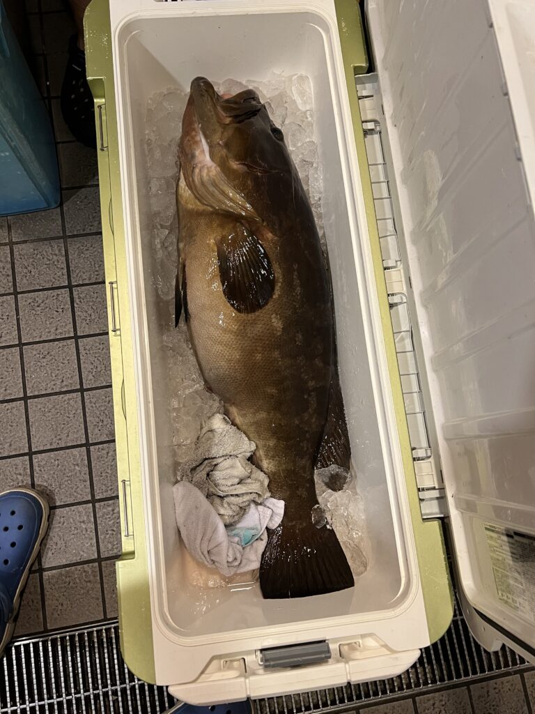 10キロのクエ